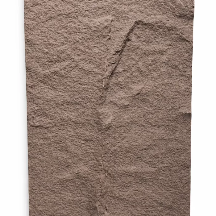Elm Wall Panel
